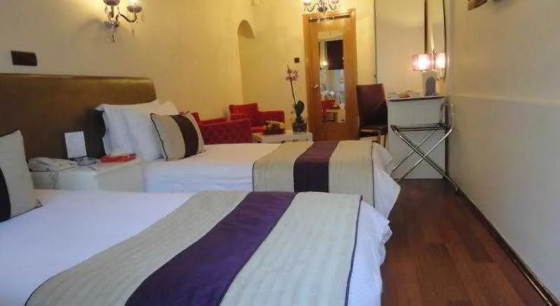 Bakirkoy Tashan Business & Airport Hotel Istanbul