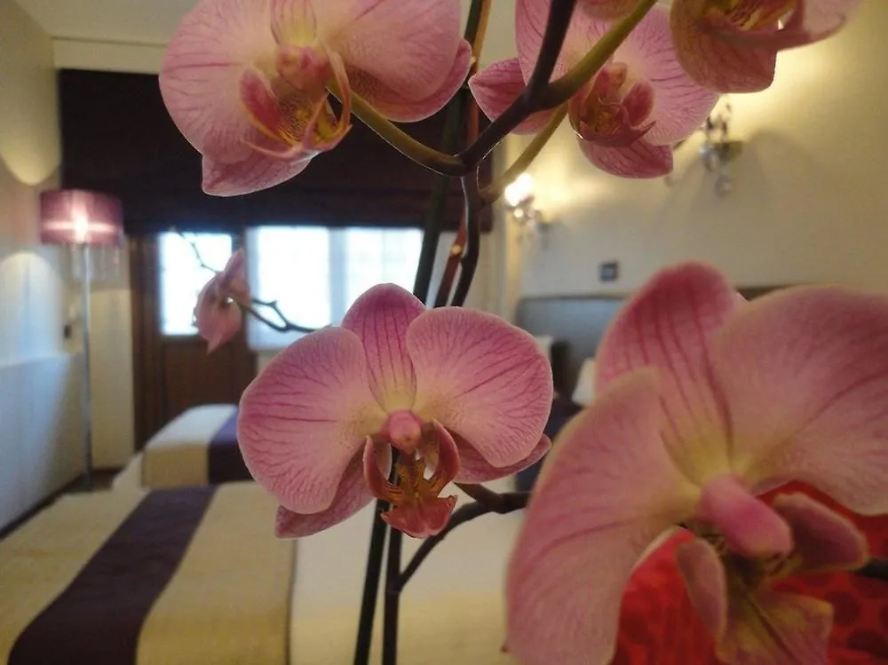 Bakirkoy Tashan Business & Airport Hotel Istanbul