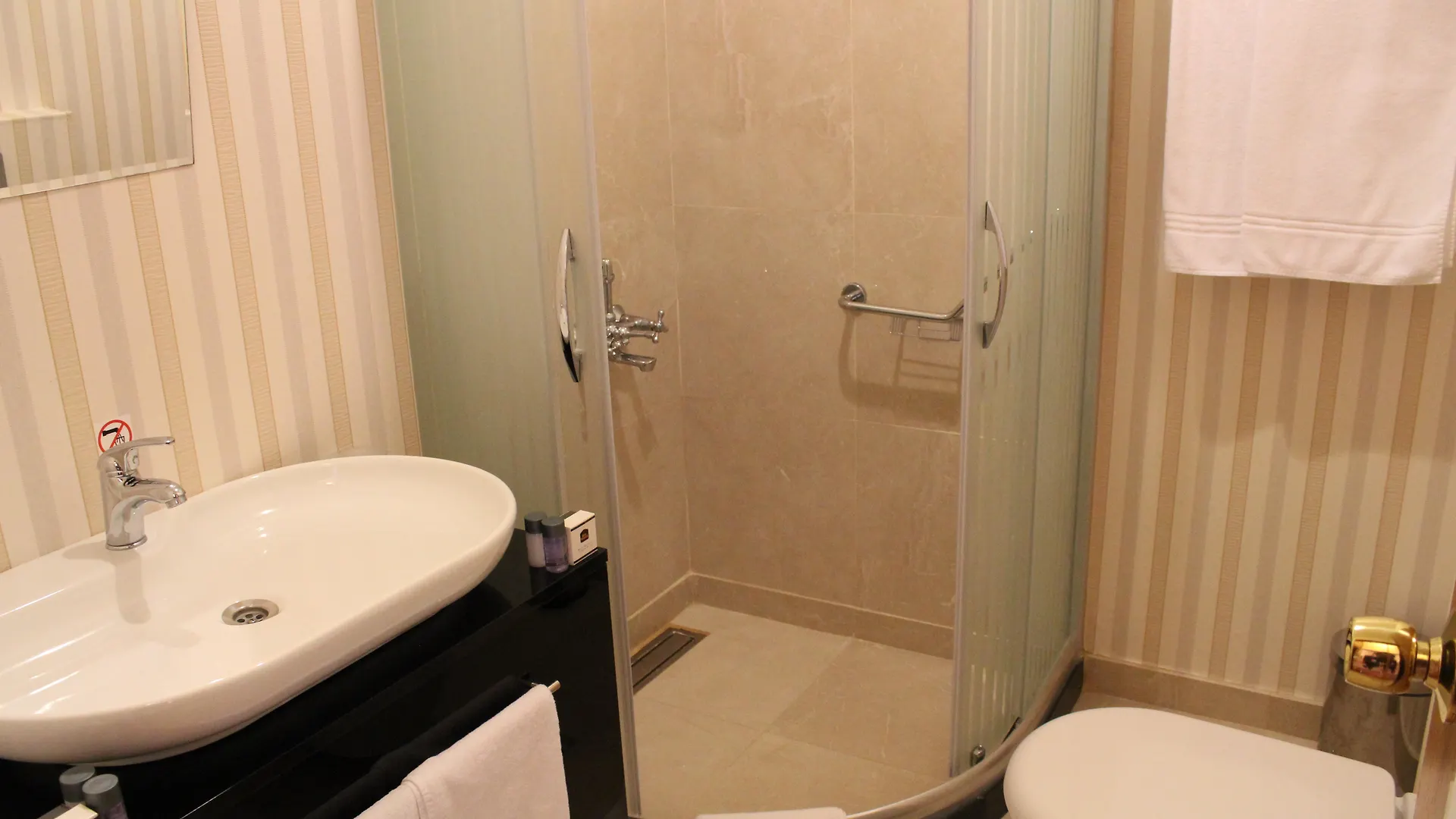 Bakirkoy Tashan Business & Airport Hotel Istanbul