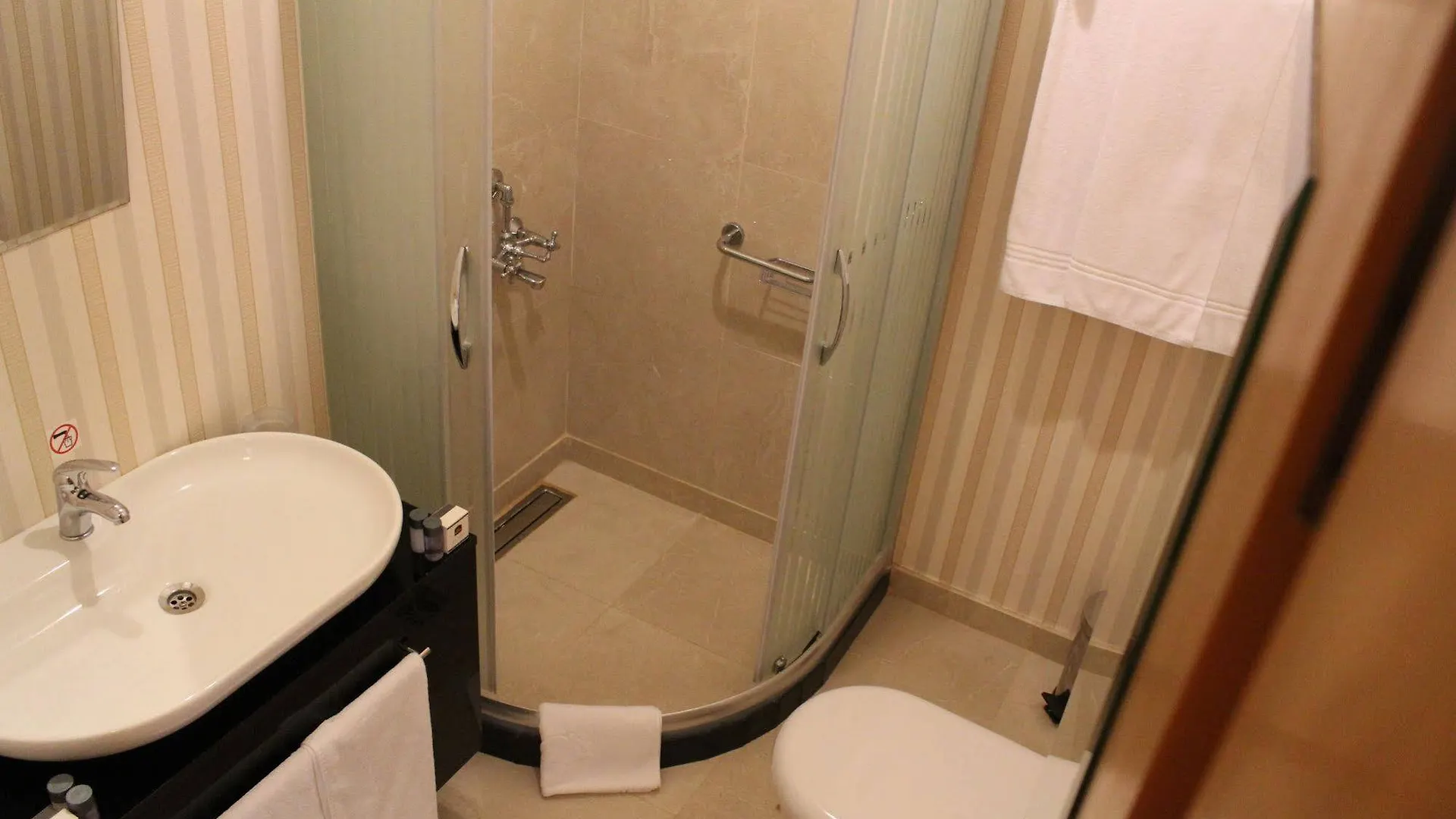 Bakirkoy Tashan Business & Airport Hotel Istanbul