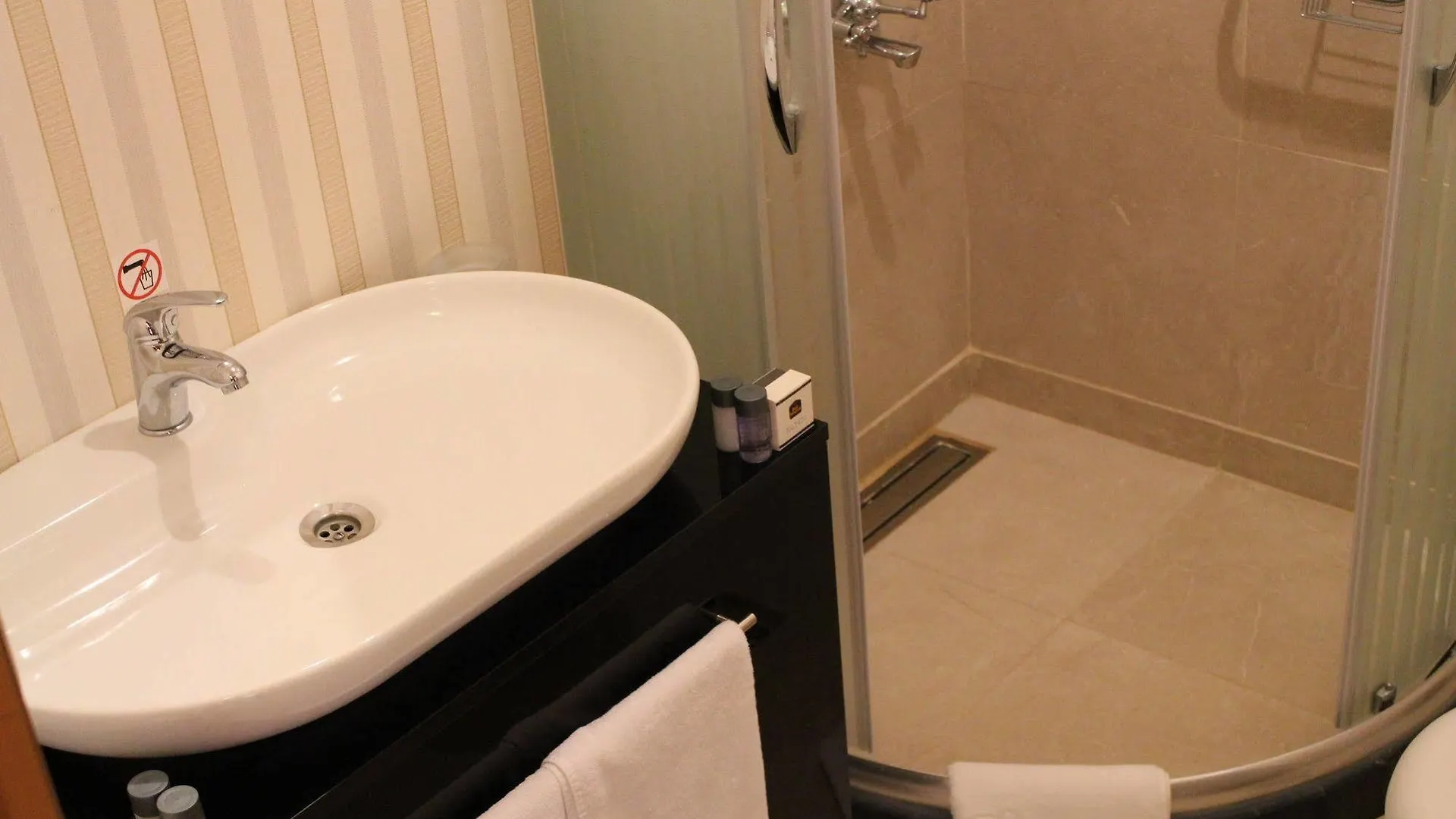 Bakirkoy Tashan Business & Airport Hotel Istanbul 2*,