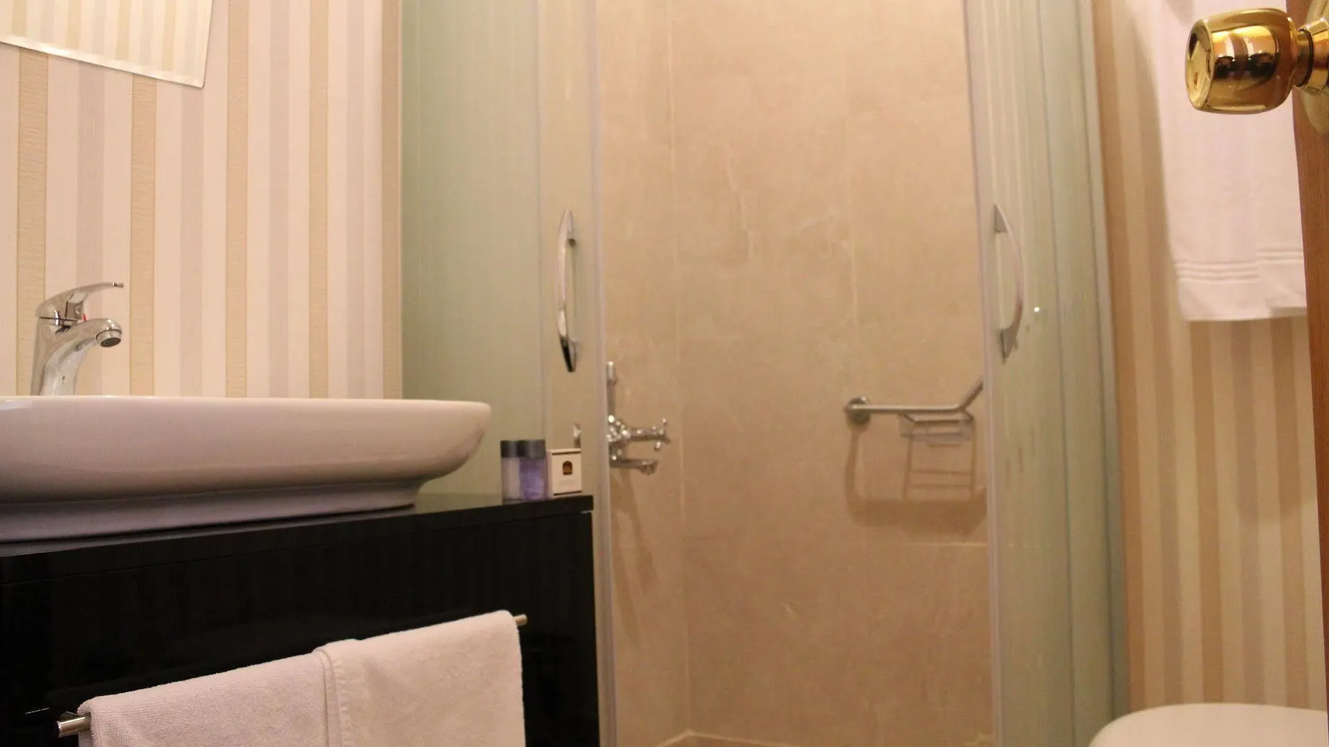 Bakirkoy Tashan Business & Airport Hotel Istanbul