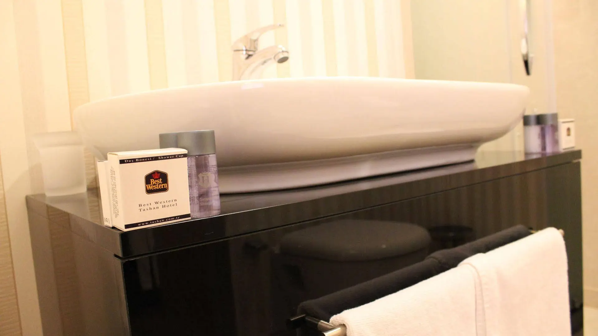 Bakirkoy Tashan Business & Airport Hotel Istanbul